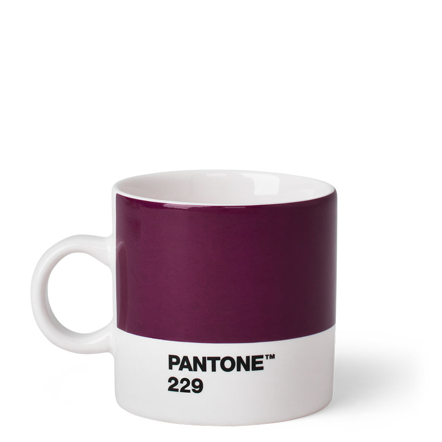 PANTONE ESPRESSO CUP AUBERGINE 229