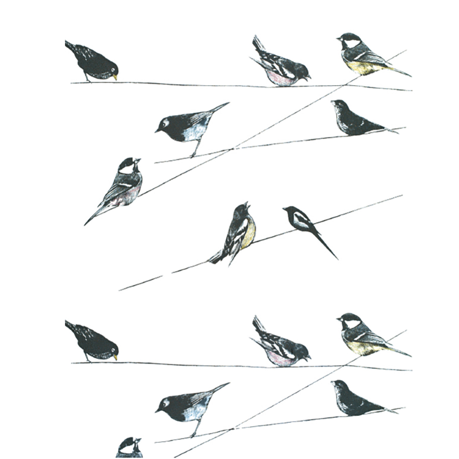 GARDEN BIRDS WALLPAPER